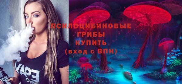 крисы Рославль