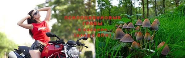 ALPHA-PVP Россошь