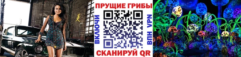 купить  цена  Яранск  Псилоцибиновые грибы мицелий 